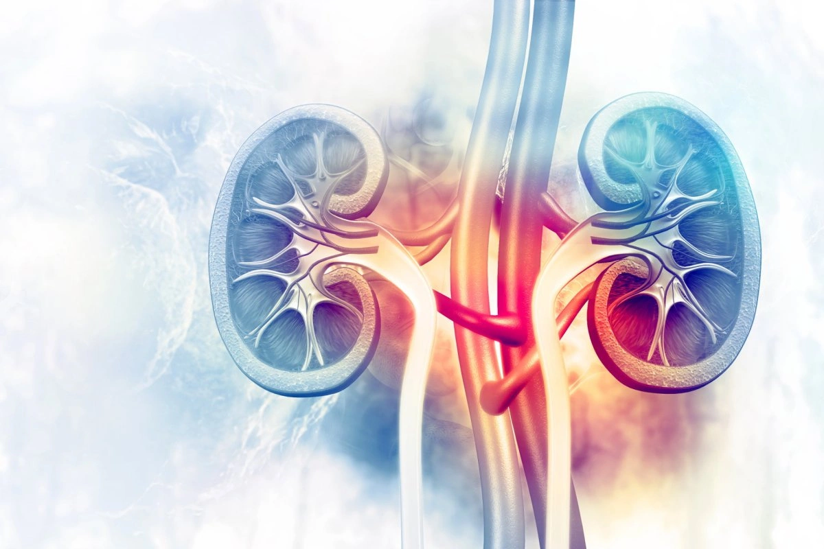 Chronic Kidney Disease